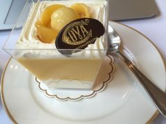 -COVA(新天地Xintiandi店)