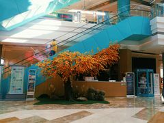 -大族广场Mall&More