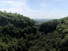-川西竹海景区
