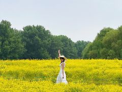 -长白岛森林公园