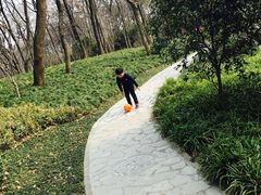 -南京东郊国宾馆