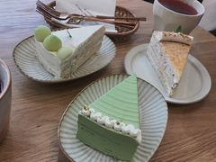 开心果千层-叶太YETAI(良库店)