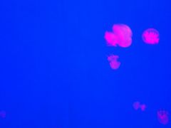 -石林冰雪海洋世界