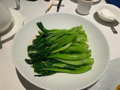 白灼广东菜心-申粤轩酒楼·三十年粤菜经典(丁香花园店)