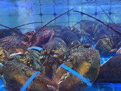 -日照大牌檔•小船海鲜(万平口店)