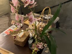 -施奈儿.洗头頭療.按摩SPA.采耳(上梅林店)