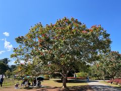 -中国科学院西双版纳热带植物园
