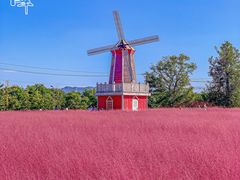 -羊亭河湿地公园