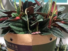 -鹿岛会员店 (龙湖三千集天街店)