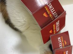 -三花喵·撸猫购宠·宠物生活馆(虹桥南丰城店)