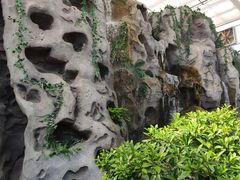 -北戴河集发农业梦想王国