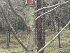 -森林公园(尖草坪区)