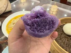 -富春茶社(国庆路店)