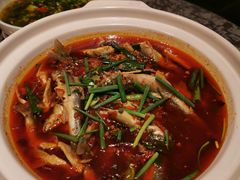 -樽宴酒楼·地道川菜·品质宴请