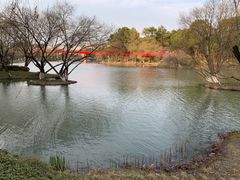 -青枫公园