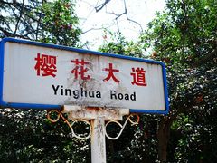 -武汉大学-樱园