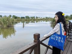 -盐城丹顶鹤湿地生态旅游区