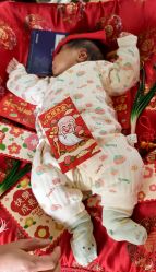 -上海小小宝婴儿理胎发胎毛笔