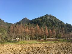 -贵阳市花溪国家城市湿地公园