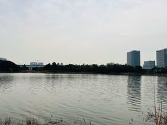 -美兰湖景区