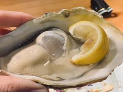 -深蓝金枪·深海鱼刺身(吉大店)