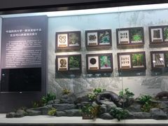 -中国药科大学（江宁校区）-图书馆