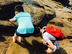 -日照灯塔风景区