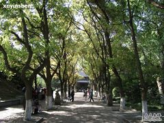 -陈化成纪念馆