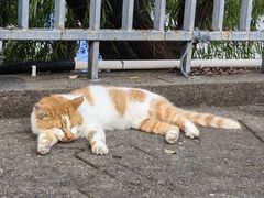 -东华大学第一食堂(松江校区店)