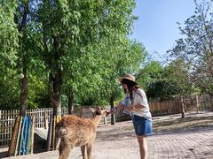 -水上乐园·欢乐世界