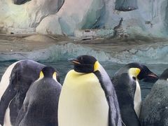 -珠海长隆海洋王国