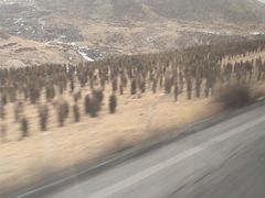 -扁都口生态休闲旅游区