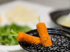 -丁老爷子苏香圆