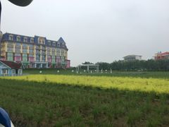 -广州花之恋城堡酒店