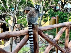 -上海野生动物园