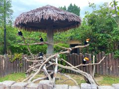 -上海野生动物园