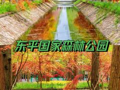 -东平国家森林公园