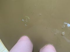 -100蛋泥浆浴