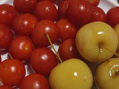 -313羊庄·荣耀·内蒙烧麦(亚运村店)