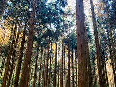-罗田薄刀峰风景区