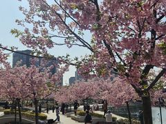 -新江湾城公园