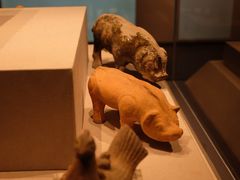 -四川宋瓷博物馆