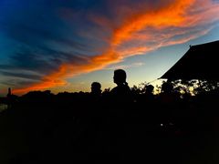 -春花秋色城市公园