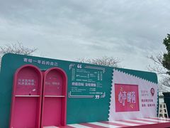 -荷兰花海