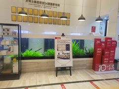-牙博士口腔品牌连锁(昆山城区店)