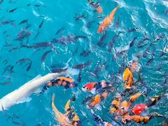 -水濂山森林公园