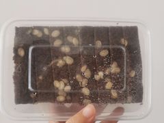 -兔爸私家小厨(新北万达店)