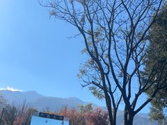 -云禾壹海景庄园餐厅