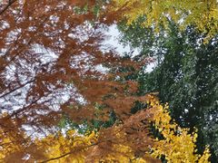 -四川大学(华西校区)