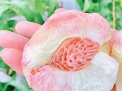 -桃源山庄·水蜜桃采摘·柴火鸡·烧烤团建(龙泉山店)